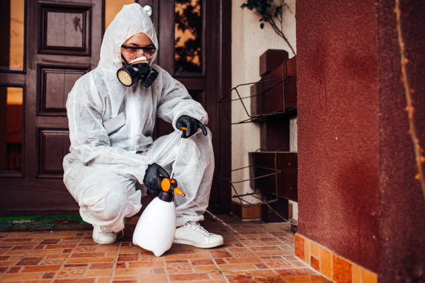 Reliable Emergency Pest Control contractor in West Long Branch, NJ by Nex Pest Control